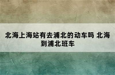 北海上海站有去浦北的动车吗 北海到浦北班车